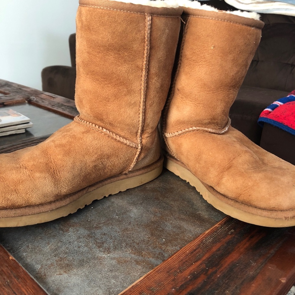 Chestnut uggs